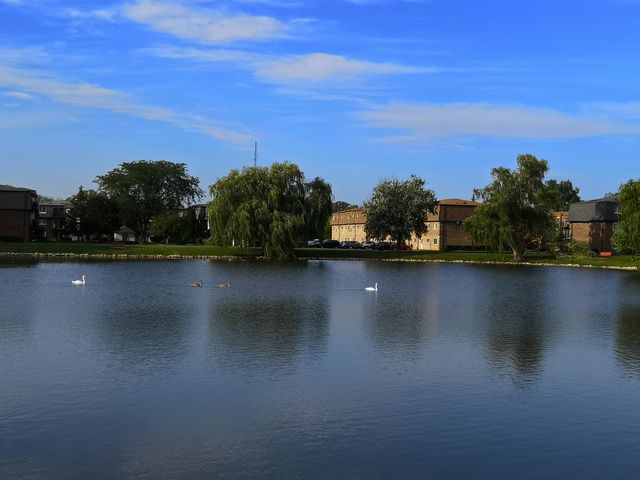 9368 BAY COLONY Drive 2S, Des Plaines, IL 60016