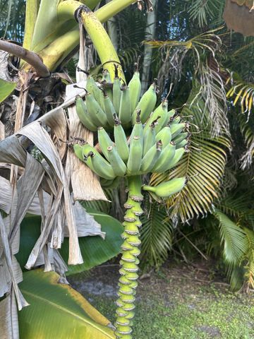 1256 SE Ladner Street, Port St Lucie, FL 34952