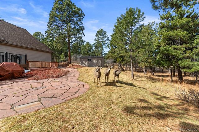 7635 Rollins Drive, Larkspur, CO 80118