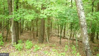 LOT 180 STUART DRIVE, Basye, VA 22810