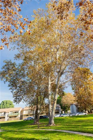 1219 N Edwards Street 33, Redlands, CA 92374