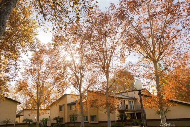 1219 N Edwards Street 33, Redlands, CA 92374