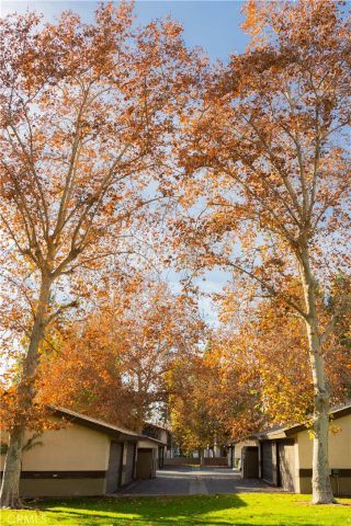 1219 N Edwards Street 33, Redlands, CA 92374