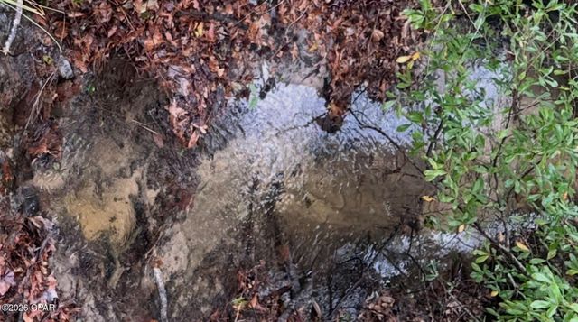 2984 Goodman Hill Road, Chipley, FL 32428