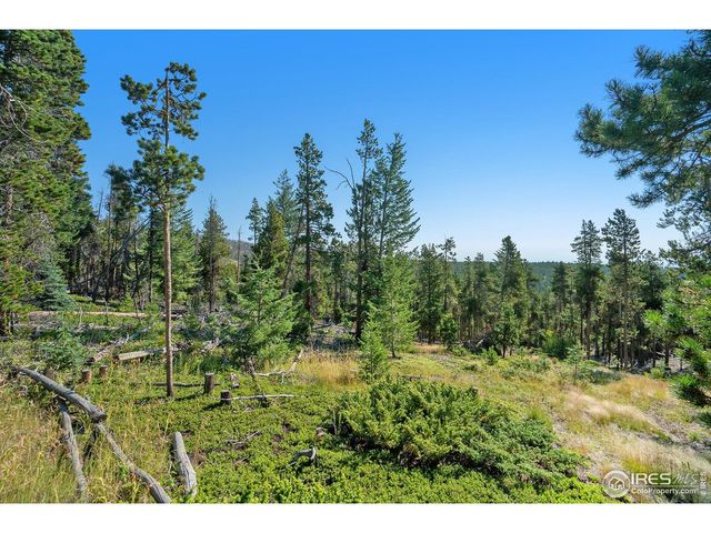 231 Granite Dr, Drake, CO 80515