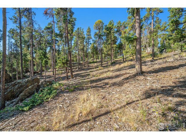 231 Granite Dr, Drake, CO 80515