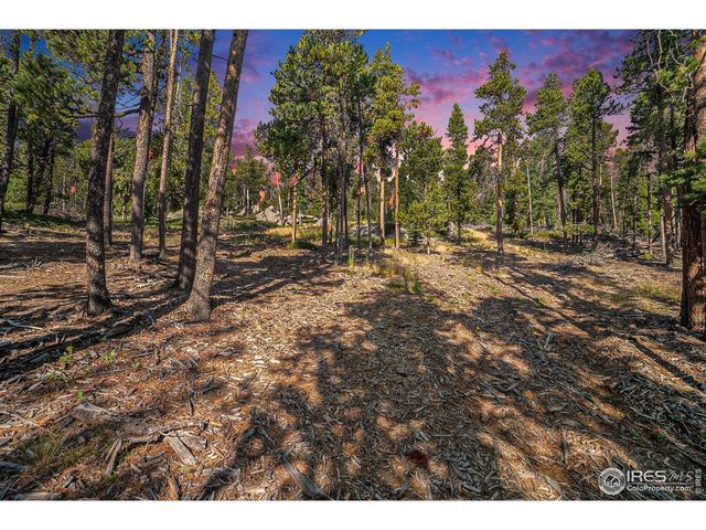 231 Granite Dr, Drake, CO 80515