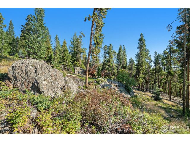 231 Granite Dr, Drake, CO 80515