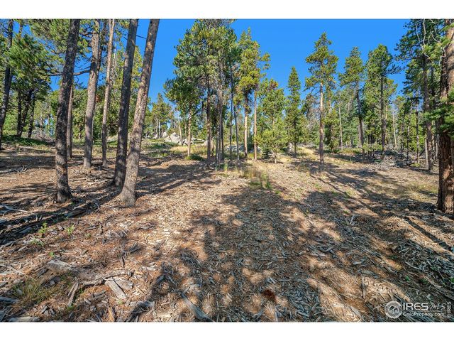 231 Granite Dr, Drake, CO 80515