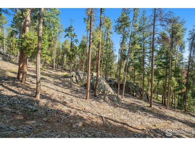 231 Granite Dr, Drake, CO 80515