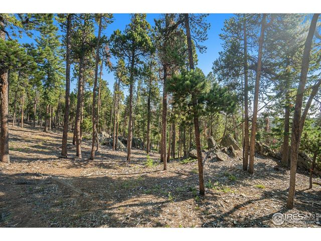 231 Granite Dr, Drake, CO 80515