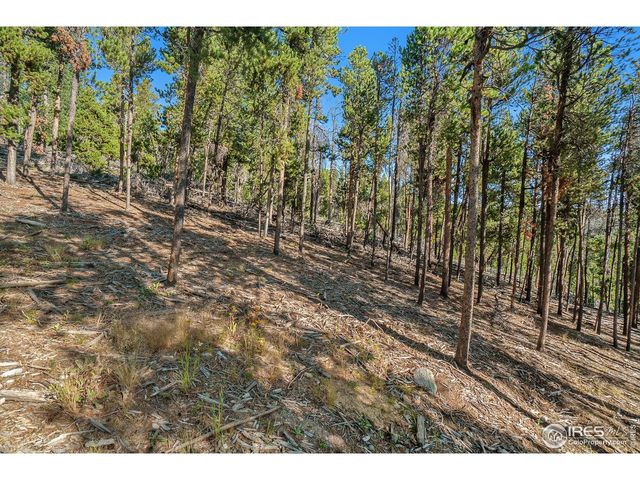 231 Granite Dr, Drake, CO 80515