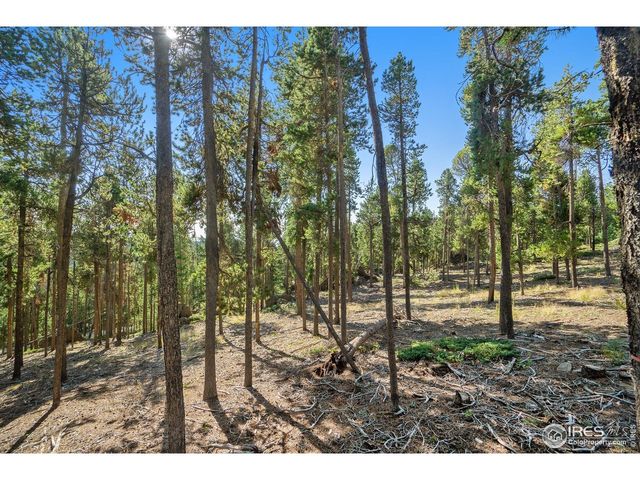 231 Granite Dr, Drake, CO 80515