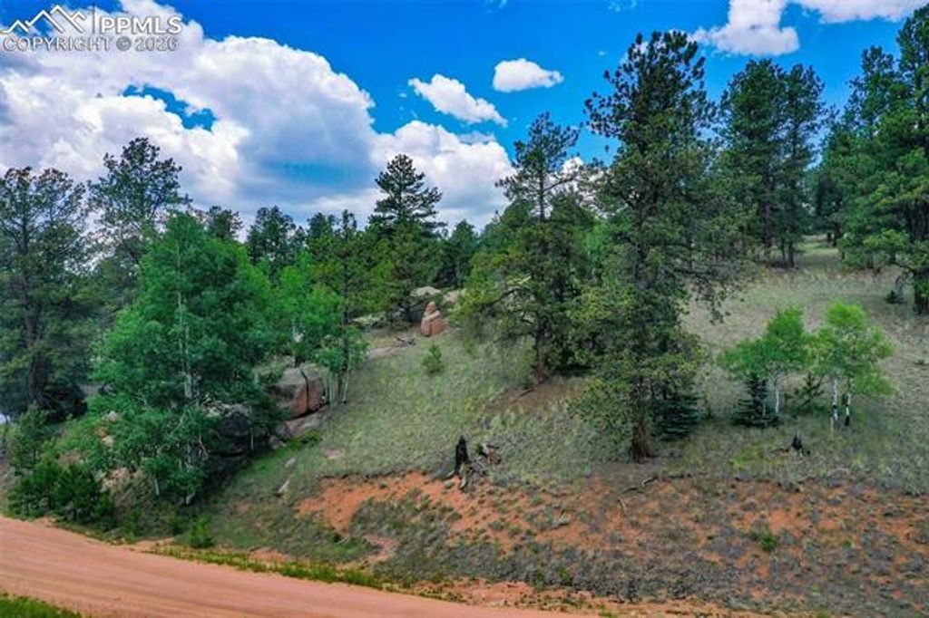 549 Spring Valley Lane, Florissant, CO 80816 — photo 2