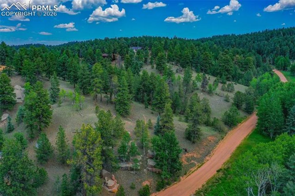549 Spring Valley Lane, Florissant, CO 80816 — photo 3