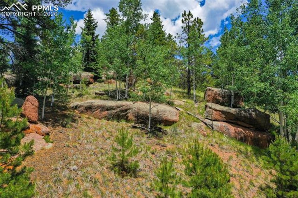 549 Spring Valley Lane, Florissant, CO 80816 — photo 4