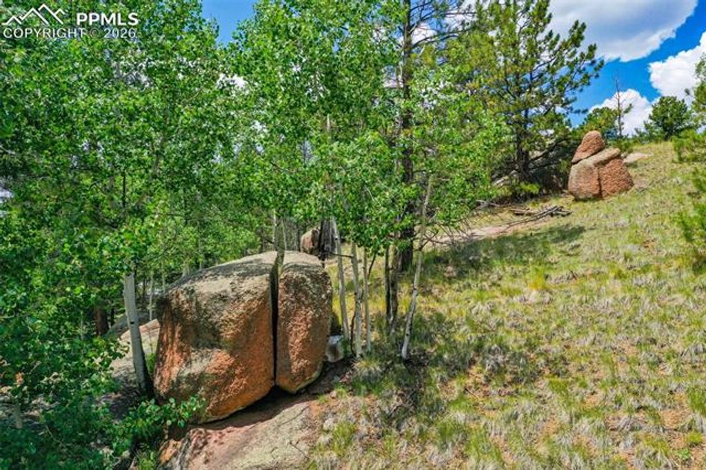 549 Spring Valley Lane, Florissant, CO 80816 — photo 5