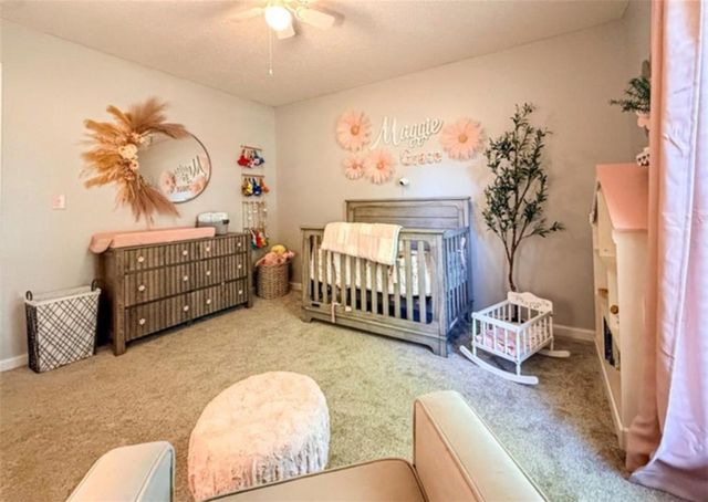 255 River Mist Circle, Jefferson, GA 30549
