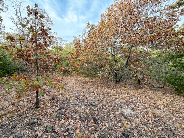 TBD Rock Hill, Aubrey, TX 76227