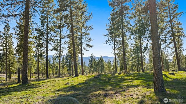 0 XXX Flying M, Cle Elum, WA 98922