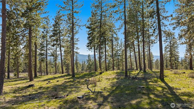 0 XXX Flying M, Cle Elum, WA 98922