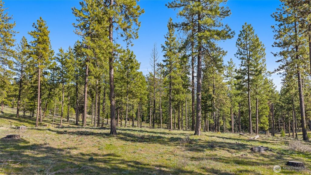 0 XXX Flying M, Cle Elum, WA 98922