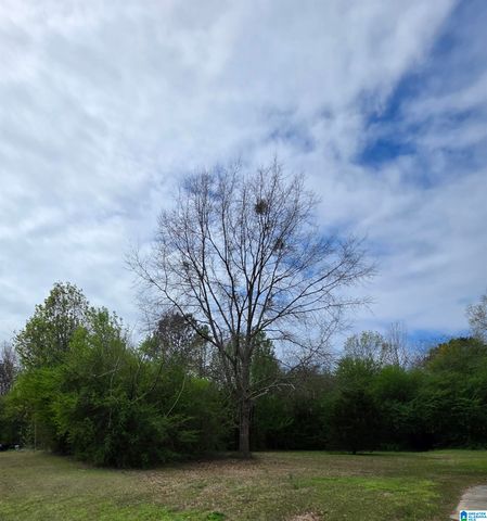 5640 AZZ HIGGINS DRIVE, Sylvan Springs, AL 35118