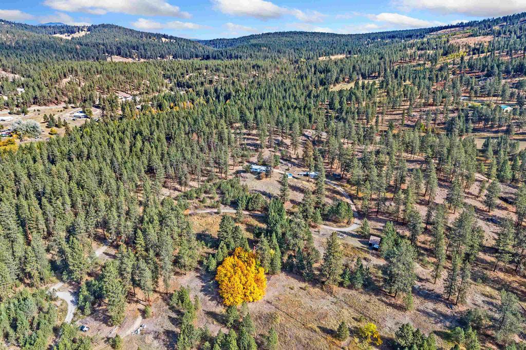910A Laury Rd, Colville, WA 99114 photo 2