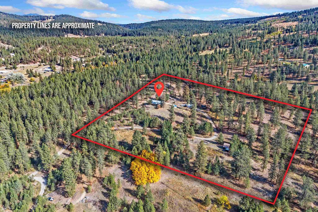 910A Laury Rd, Colville, WA 99114 photo 3