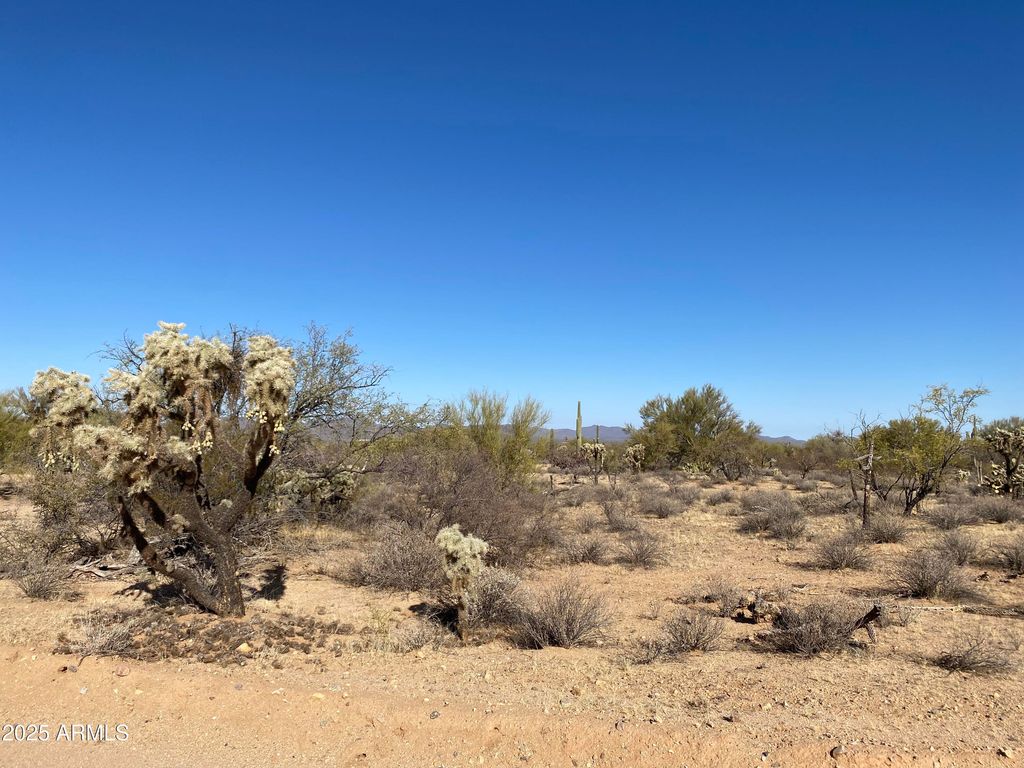 Image 10 of property listing at 411 lots W Reata Boulevard -, Tucson, AZ 85736