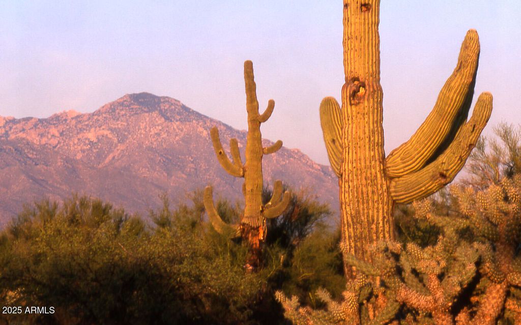 Image 15 of property listing at 411 lots W Reata Boulevard -, Tucson, AZ 85736