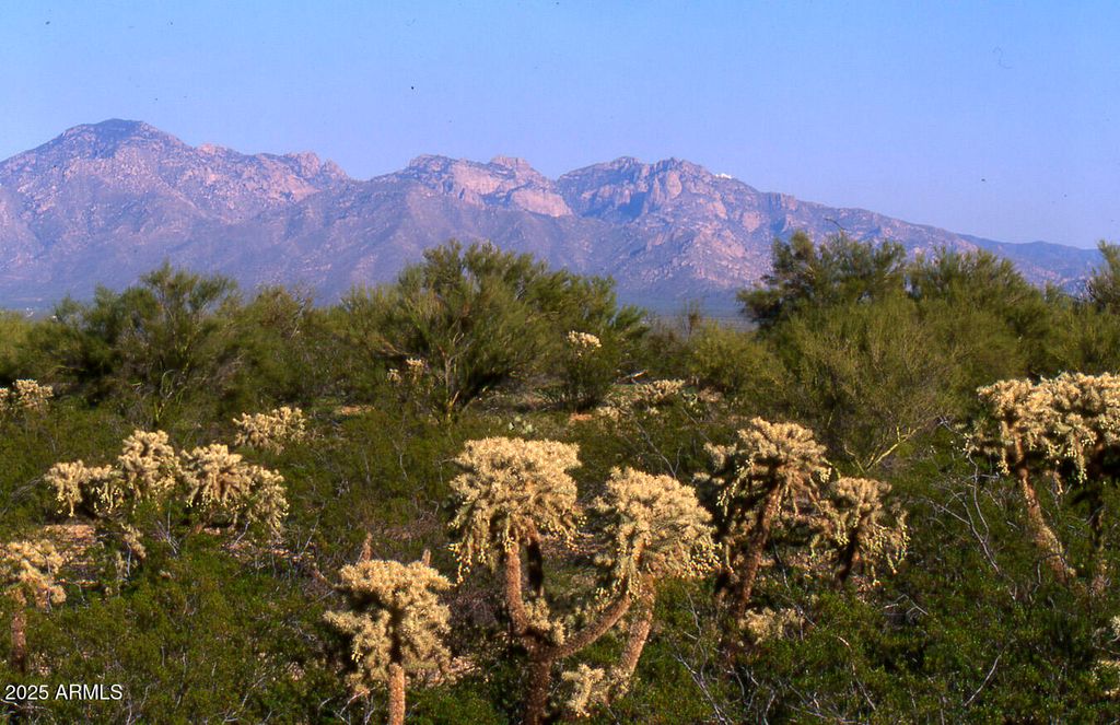 Image 17 of property listing at 411 lots W Reata Boulevard -, Tucson, AZ 85736