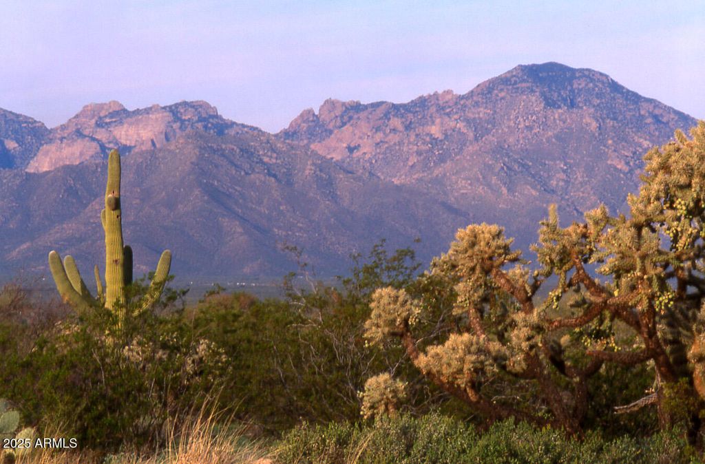 Image 19 of property listing at 411 lots W Reata Boulevard -, Tucson, AZ 85736