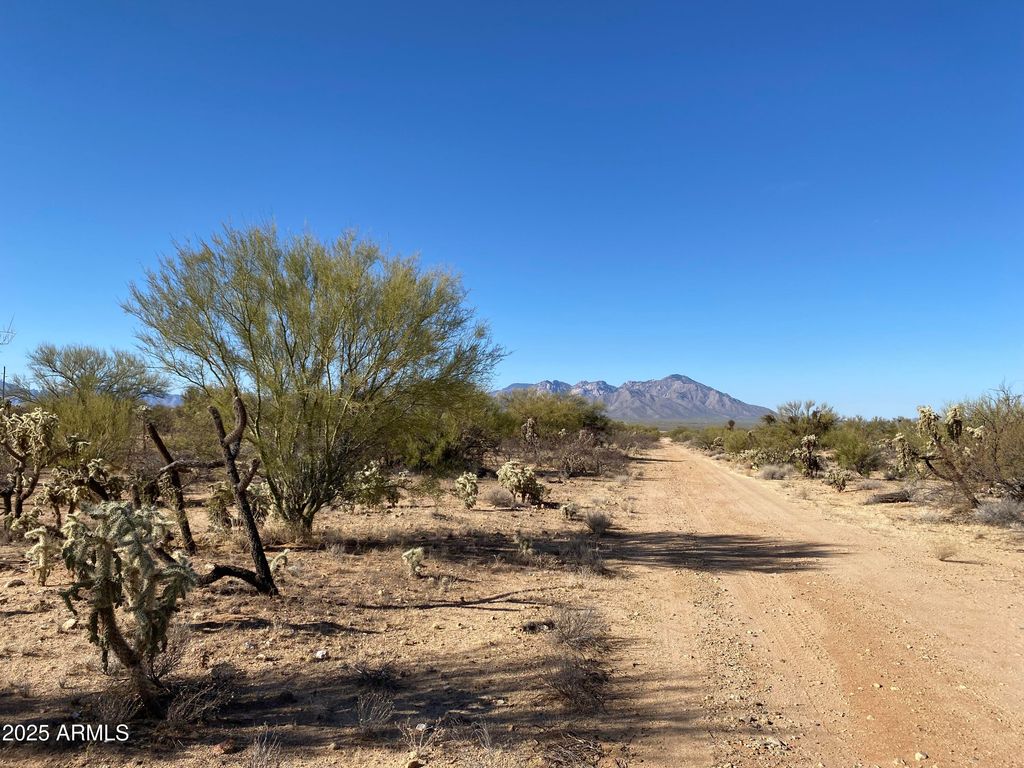 Image 41 of property listing at 411 lots W Reata Boulevard -, Tucson, AZ 85736