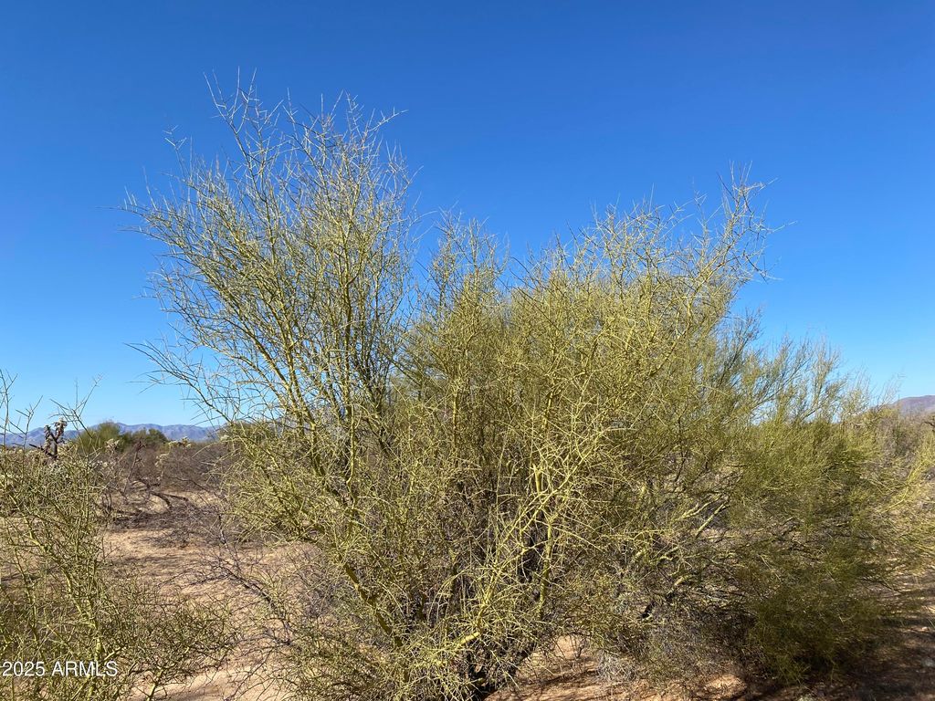 Image 55 of property listing at 411 lots W Reata Boulevard -, Tucson, AZ 85736