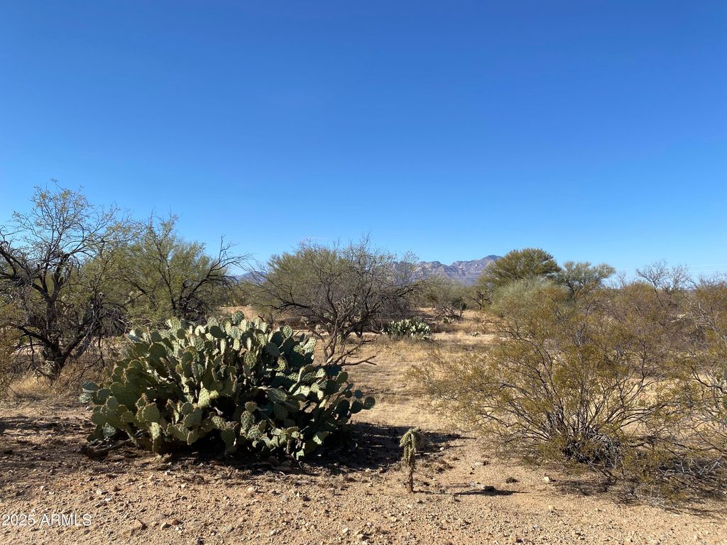 Image 59 of property listing at 411 lots W Reata Boulevard -, Tucson, AZ 85736