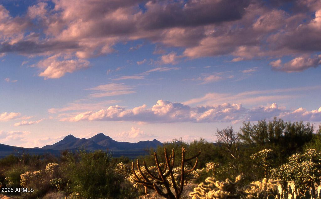 Image 71 of property listing at 411 lots W Reata Boulevard -, Tucson, AZ 85736