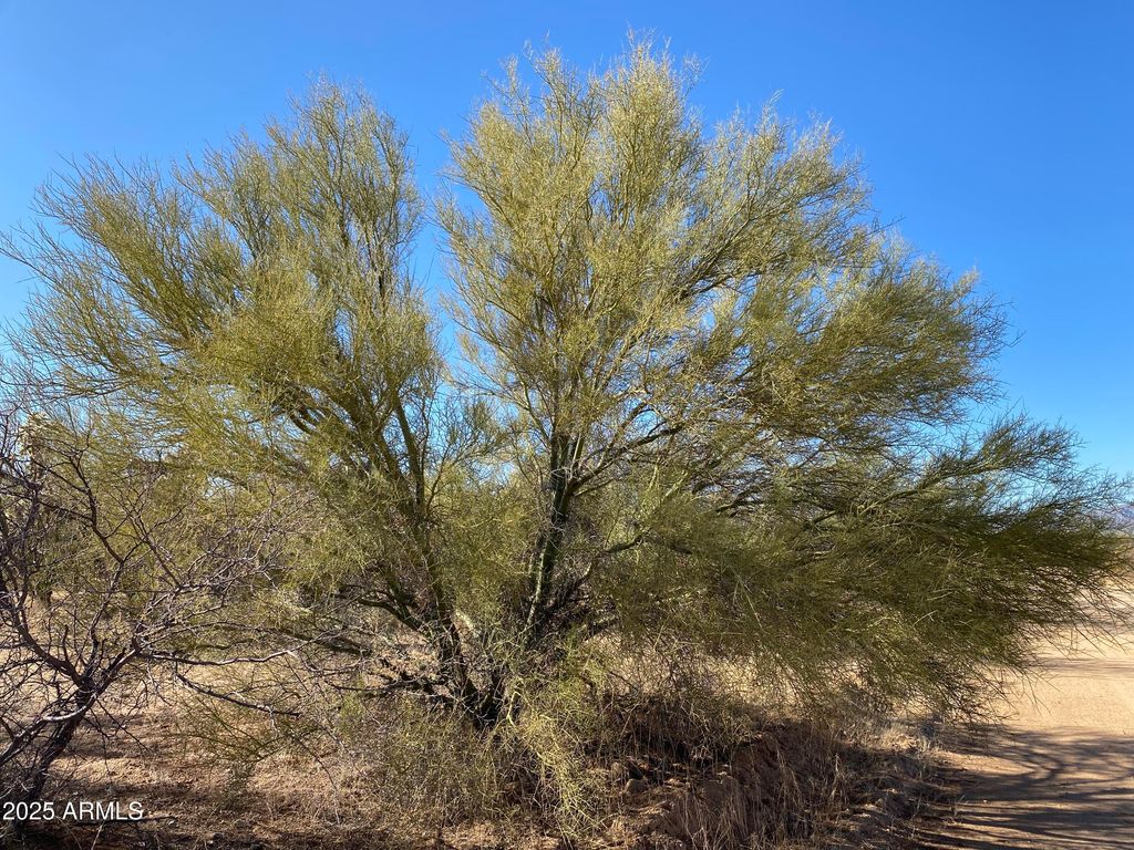 Image 8 of property listing at 411 lots W Reata Boulevard -, Tucson, AZ 85736