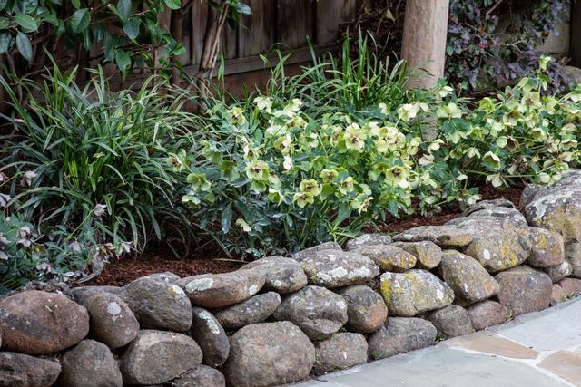 10531 Castine Avenue, Cupertino, CA 95014