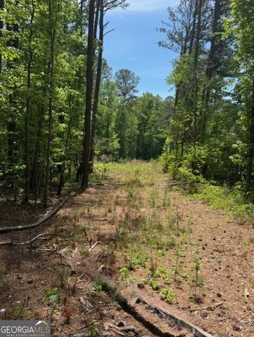 580 DUTCHMAN Road, Griffin, GA 30223