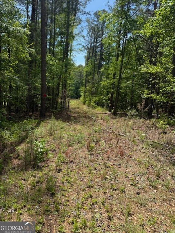 580 DUTCHMAN Road, Griffin, GA 30223