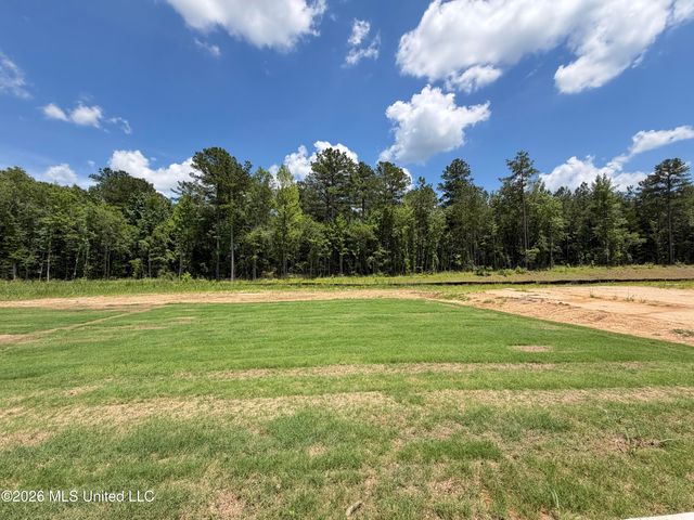 217 Anderson Oaks Drive, Pearl, MS 39208