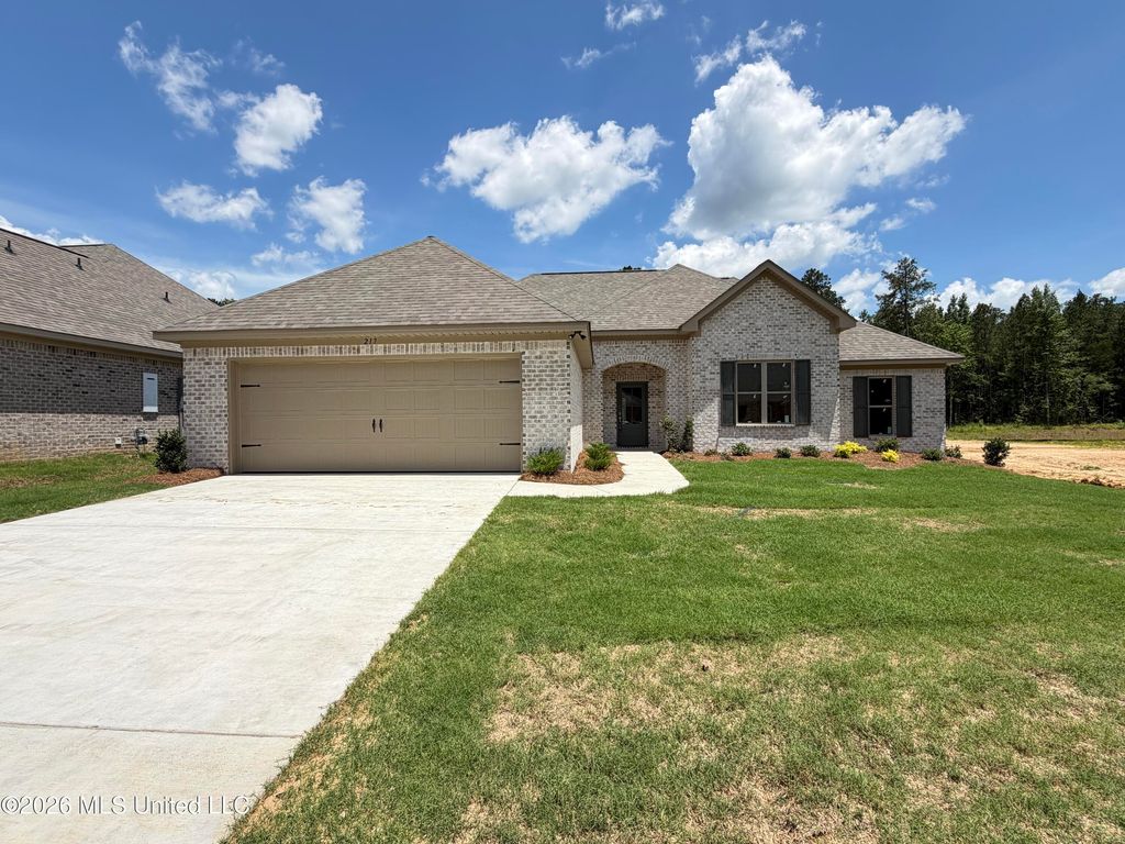 217 Anderson Oaks Drive, Pearl, MS 39208