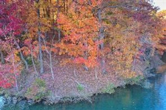 1048 Thrasher Way, Big Canoe, GA 30143
