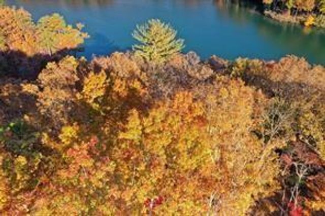 1048 Thrasher Way, Big Canoe, GA 30143