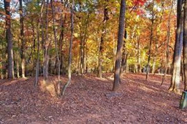 1048 Thrasher Way, Big Canoe, GA 30143