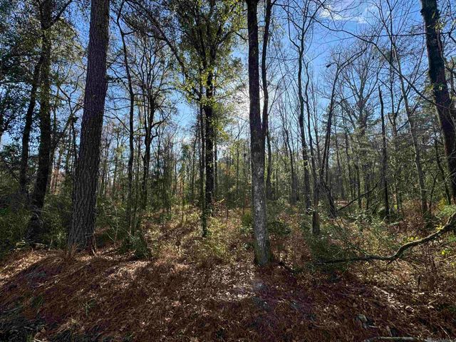 Lot 4-A Joe Lee Rd, Walker, LA 70785