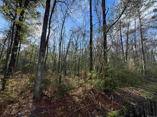 Lot 4-A Joe Lee Rd, Walker, LA 70785