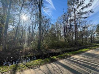 Lot 4-A Joe Lee Rd, Walker, LA 70785
