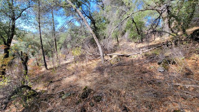 000 Rancheria Creek Road, Shingletown, CA 96088